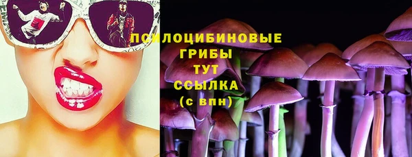 дурь Володарск