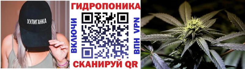 Купить где  Любим  Конопля AK-47 